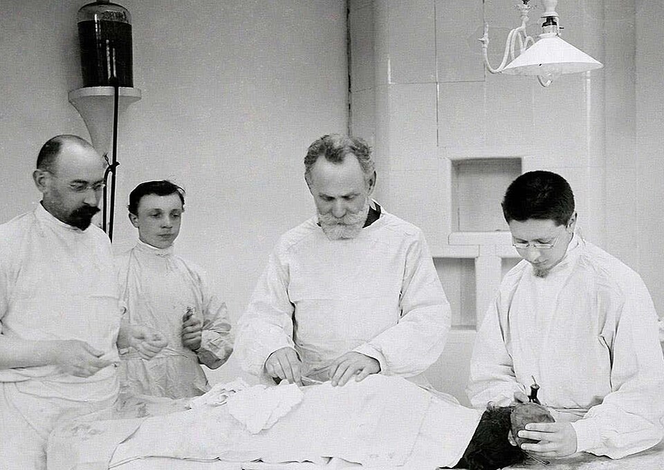 File:Ivan Pavlov Laboratory.jpg
