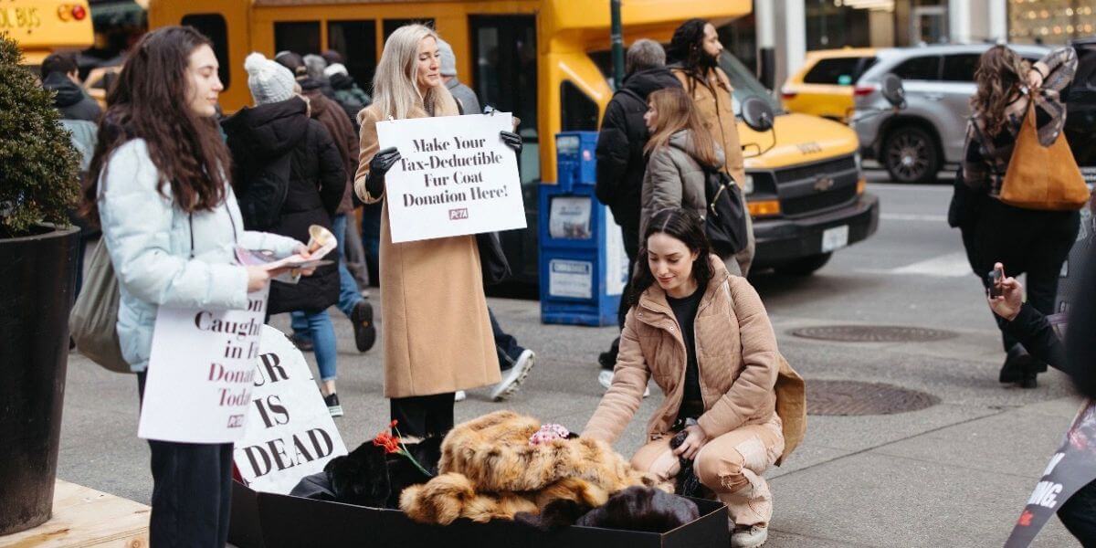People donate their fur coats to PETA