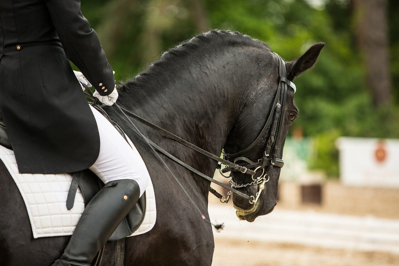 a dressage rider on a black horse with head in a rollkur position