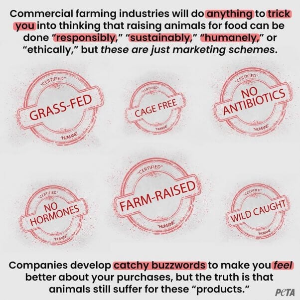 Common "humane washed" labels are displayed: Grass-Fed, Cage Free, No Antibiotics, No Hormones, Farm-Raised, Wild Caught