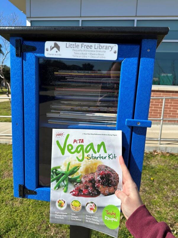 Someone leaving a vegan starter kit at a little free library