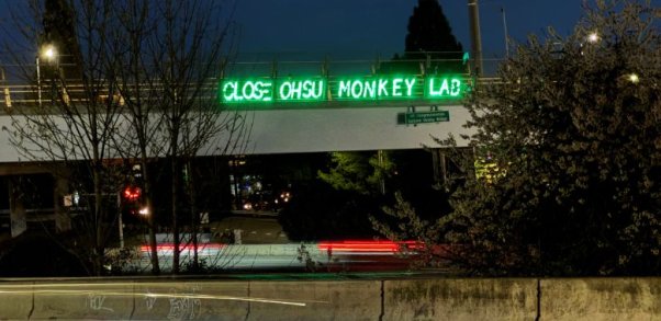 Light boards spelling "Close OHSU Monkey Lab"