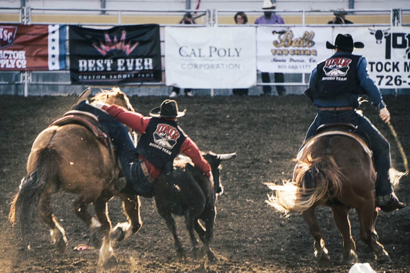 Poly Royal Rodeo human sliding off horse holding onto bull